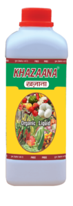 khazaana new